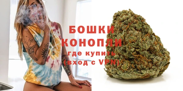 дмт Заводоуковск