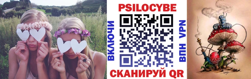 Купить закладки  Ессентуки  Галлюциногенные грибы GOLDEN TEACHER 